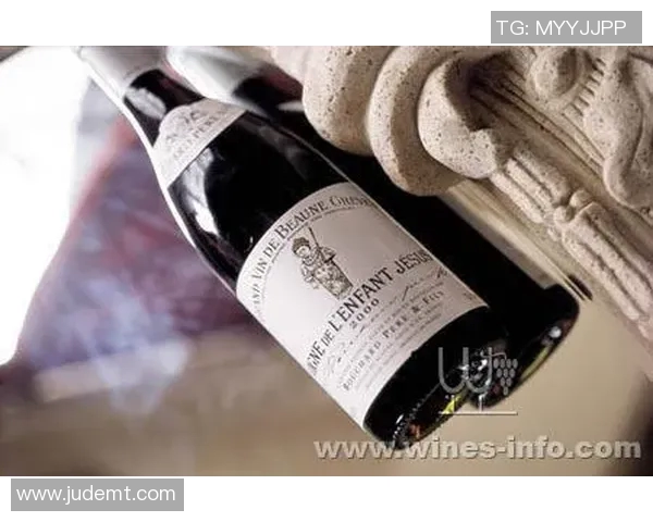 两个足球明星同名引发的趣闻与传奇故事探讨 两个足球明星同名引发的趣闻与传奇故事探讨